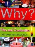 Why? Fire and Combustion: Api dan Pembakaran
